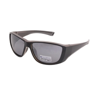 Xiamen Manufacture Stylish UV 400 Polarized Plastic Outdoor Sunglasses